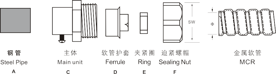 圖片關(guān)鍵詞 圖片關鍵詞